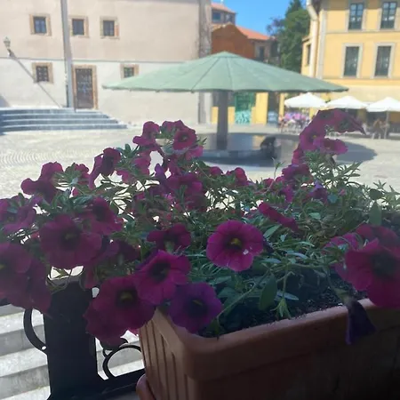 Apartmán 